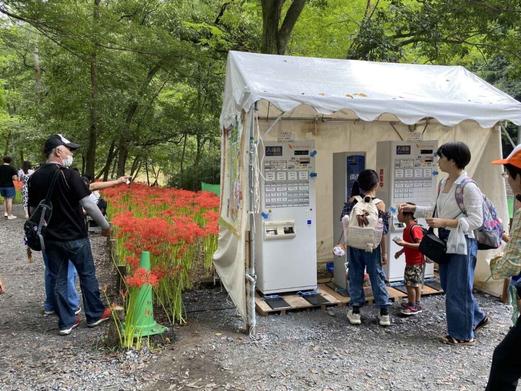 日高市の現場でレンタルした券売機と曼珠沙華